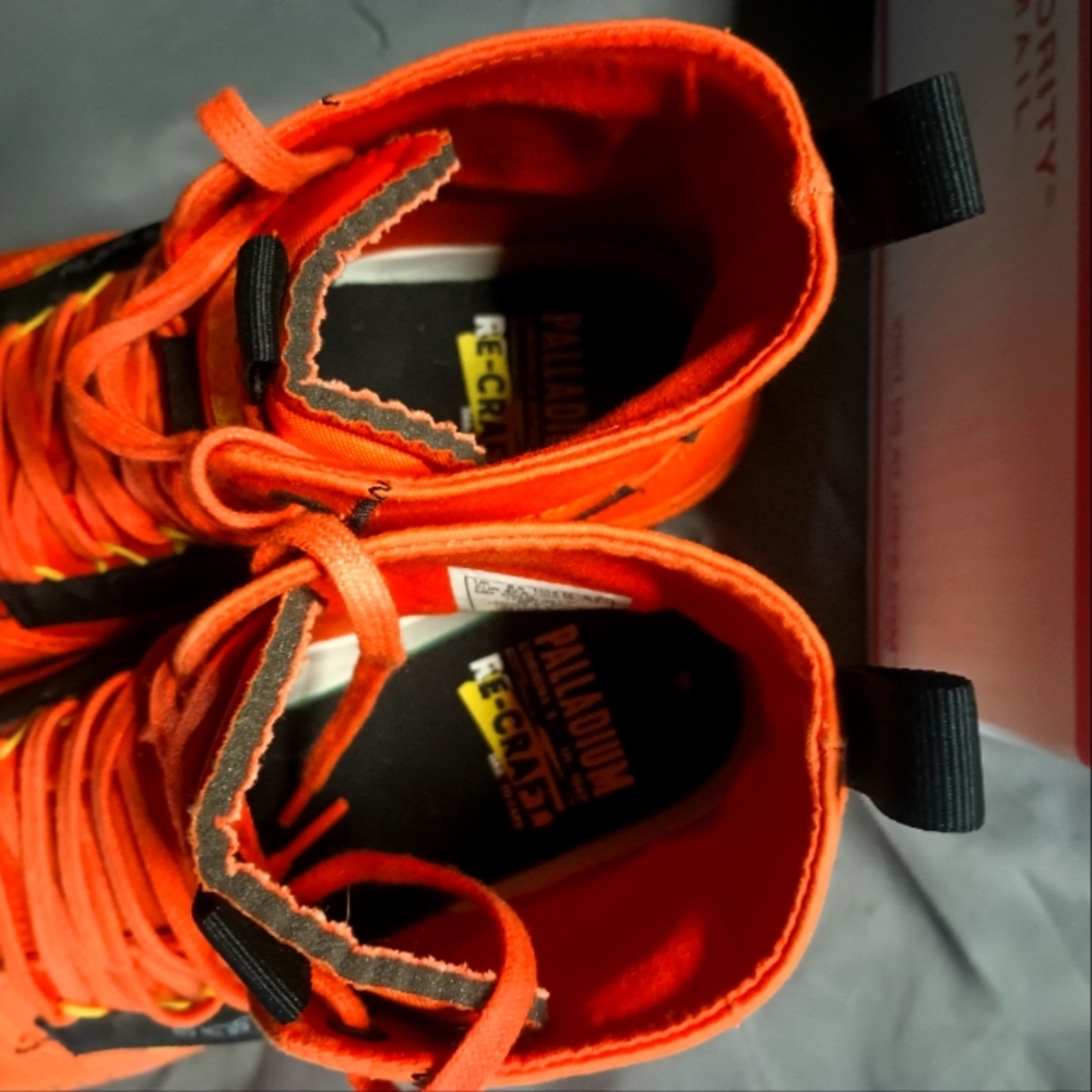 Palladium shoes